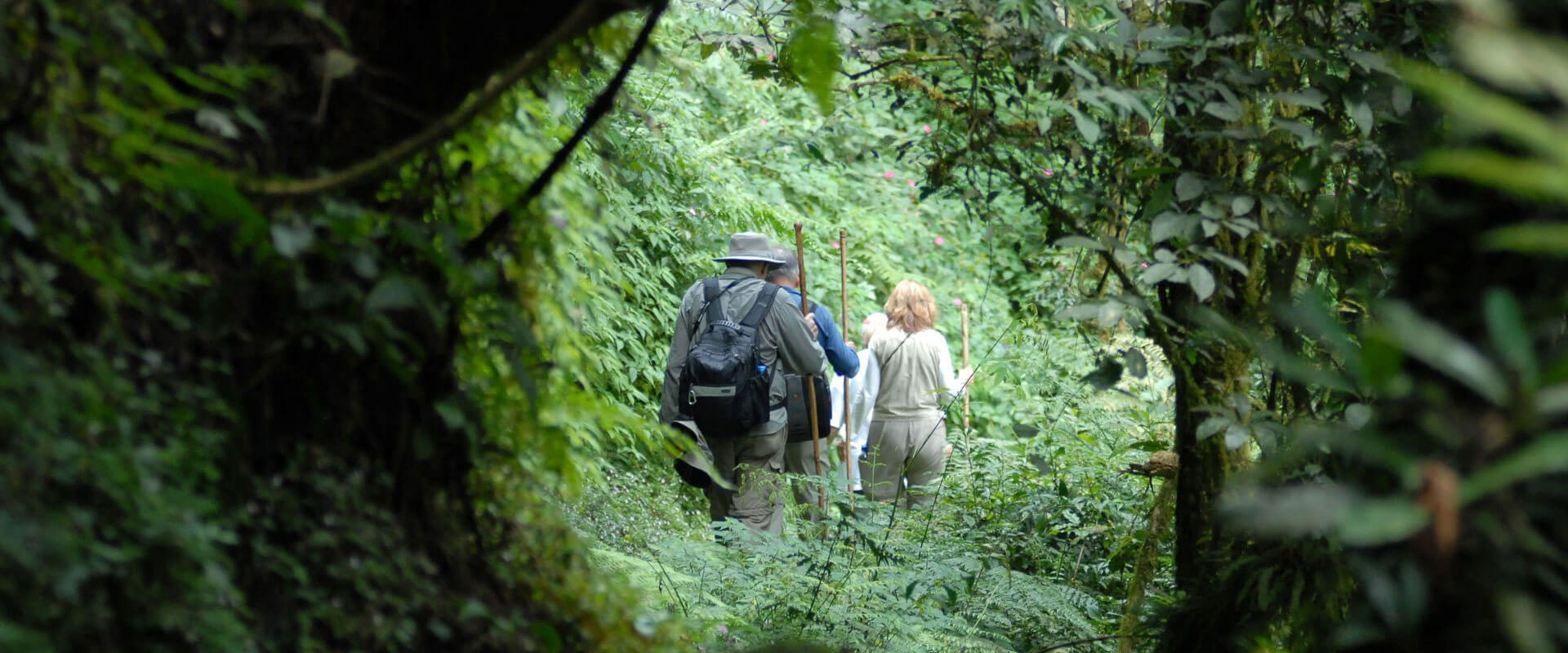 4-days-rwanda-gorilla-safari-nyiragongo-hike-tour