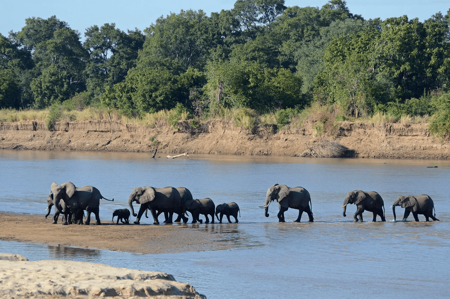 6 Days Livingstone And Lower Zambezi Tour