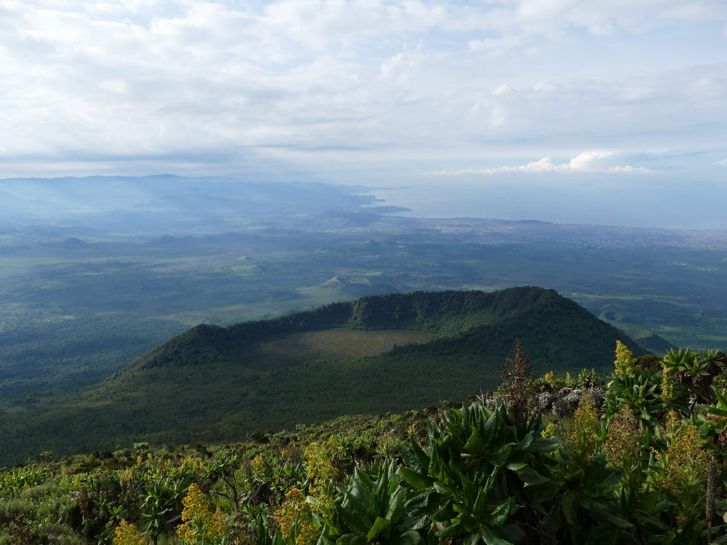 DR Congo