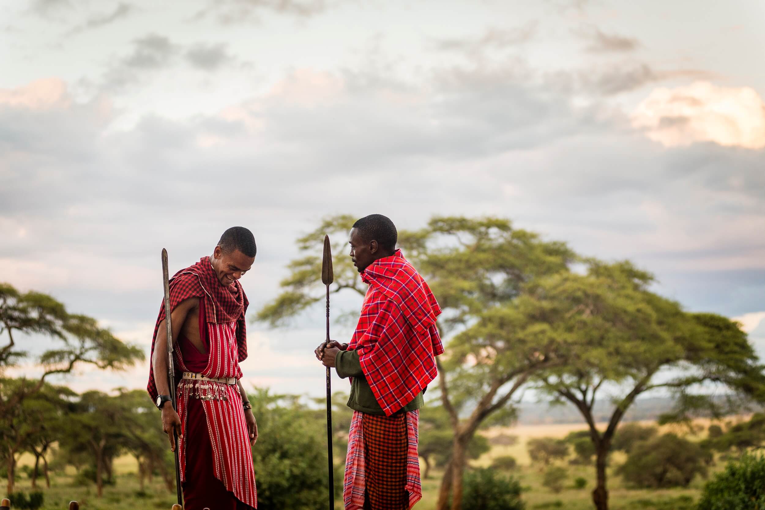 Tanzania_Gazelle Safari