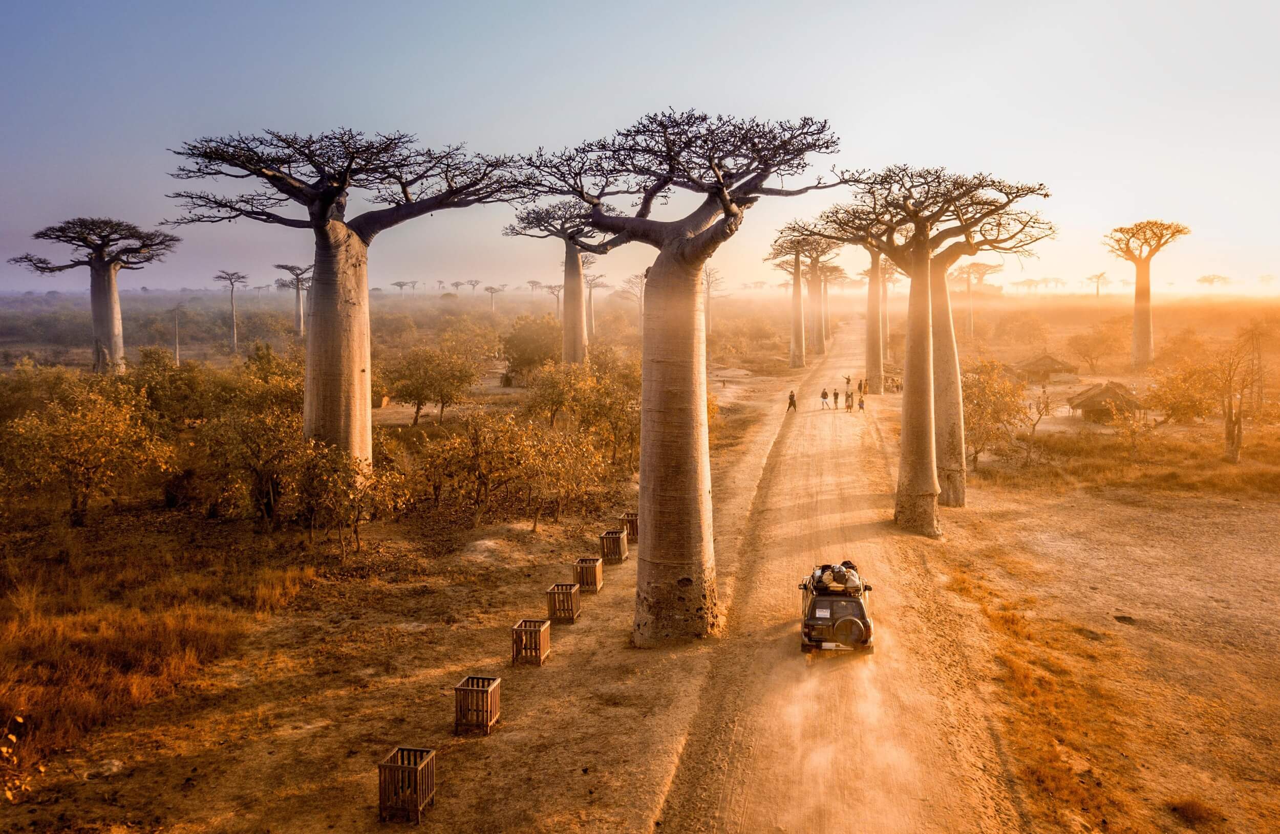 Avenue-of-the-Baobabs-Madagascar