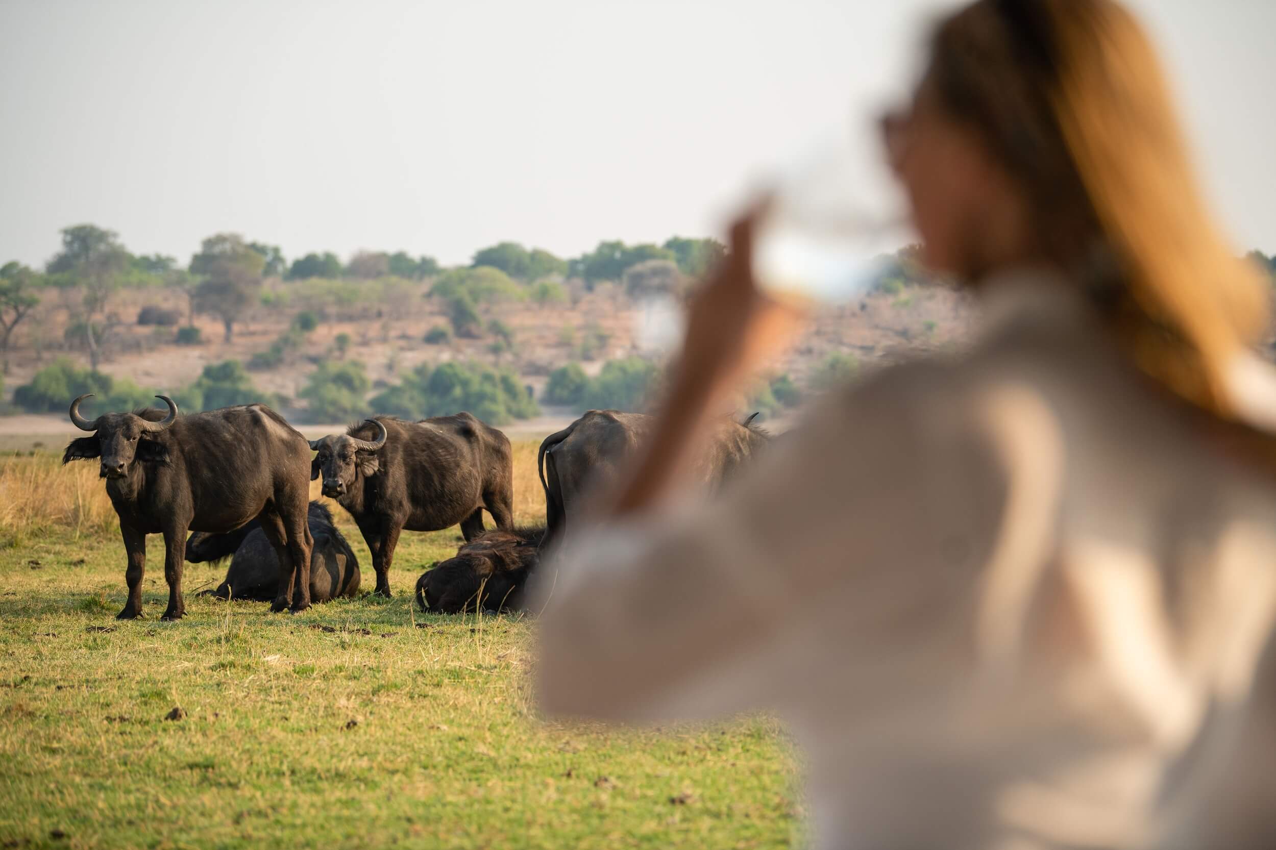 Destinations-in-Namibia_Gazelle-Safari-Company